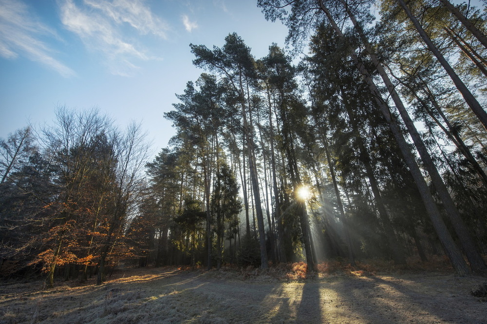Фотографія Ранкова / Andrii Kurinnyi / photographers.ua