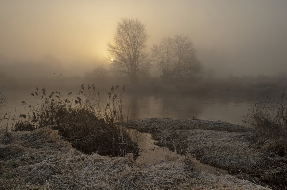 Фотографія *** / Andrii Kurinnyi / photographers.ua