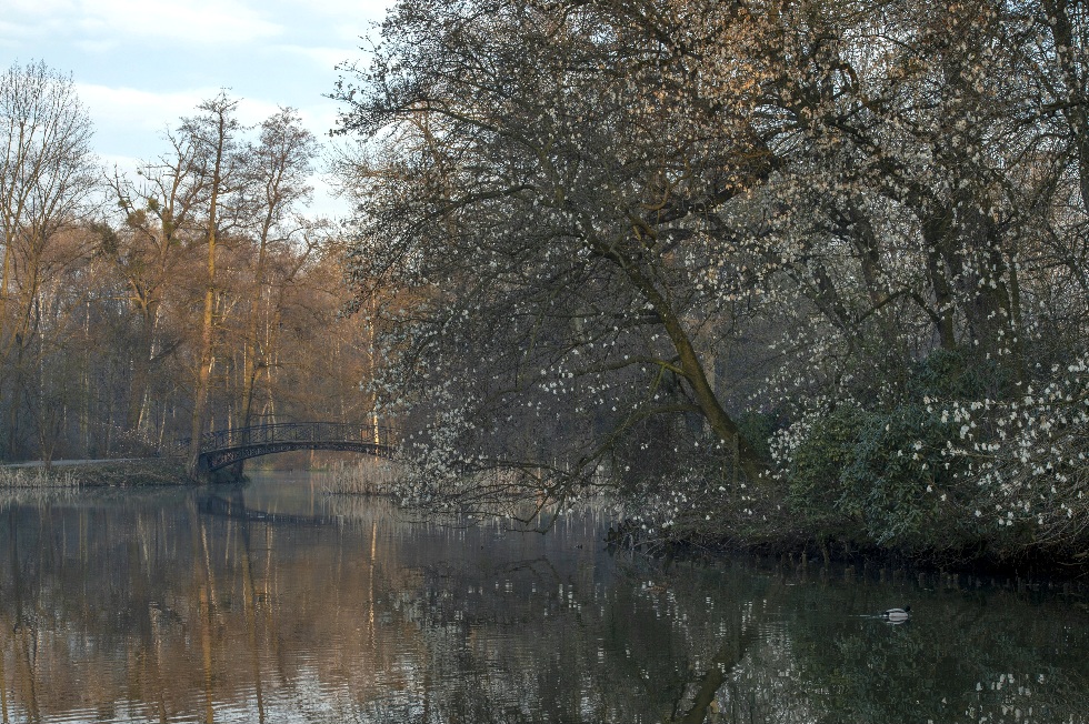 Фотографія "When words give way to silence. In this moment, there is both anticipation and peace..." / Andrii Kurinnyi / photographers.ua