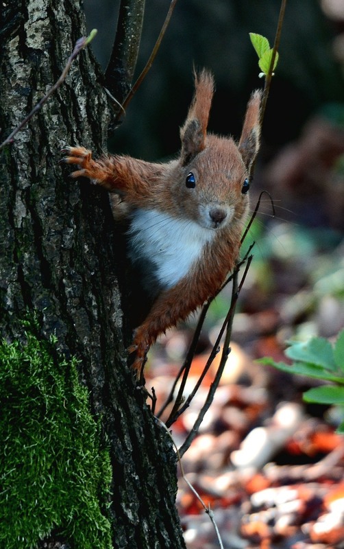 Фотографія Гламур / Andrii Kurinnyi / photographers.ua
