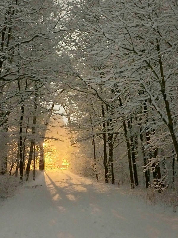 Фотографія Ранкова... / Andrii Kurinnyi / photographers.ua