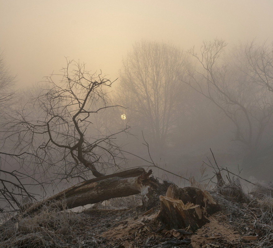 Фотографія "Between Light and Shadow" / Andrii Kurinnyi / photographers.ua
