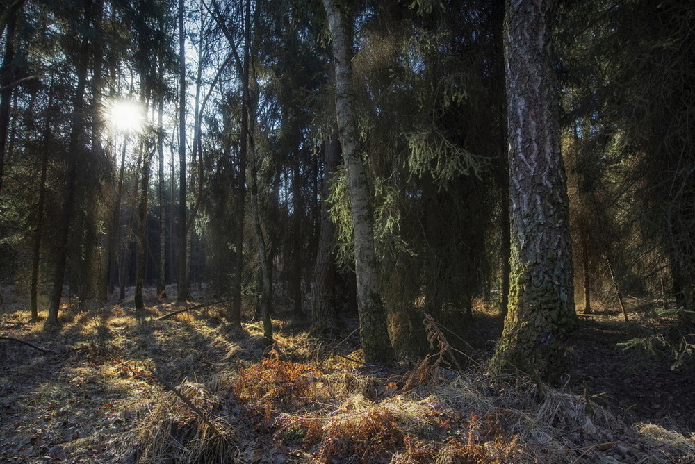 Фотографія Пейзаж / Andrii Kurinnyi / photographers.ua