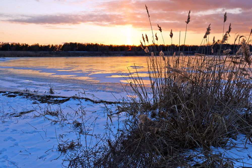 Фотографія на закате зимы / Александр, Позняков / photographers.ua