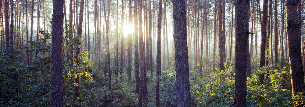 Фотографія ...вспоминая лето / Александр, Позняков / photographers.ua