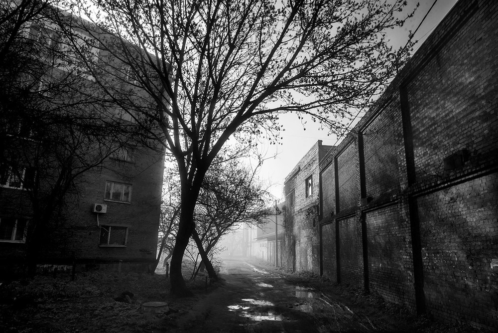 Фотографія Пейзаж / Владимир Белый / photographers.ua