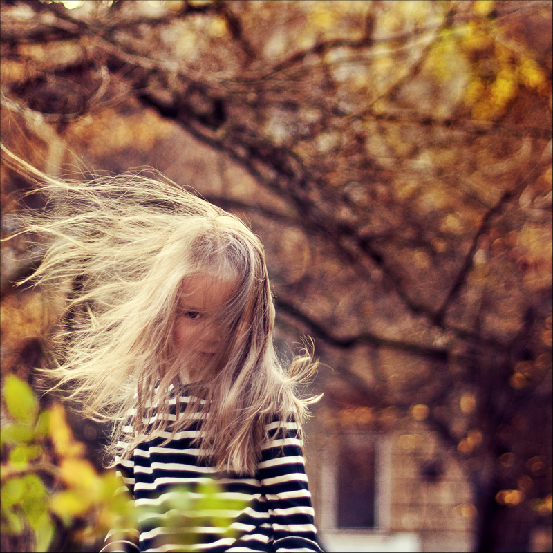 Фотографія ветер ее волос / Ленка Зыбарева / photographers.ua