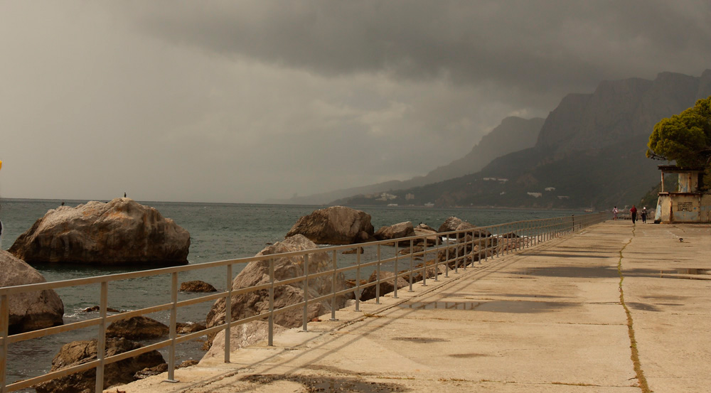 Фотографія *** / Татьяна Николаева / photographers.ua