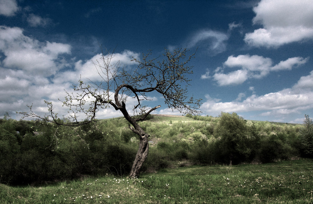 Фотографія ***** / Татьяна Николаева / photographers.ua