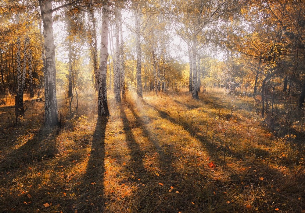 Фотографія Пейзаж / Серж / photographers.ua