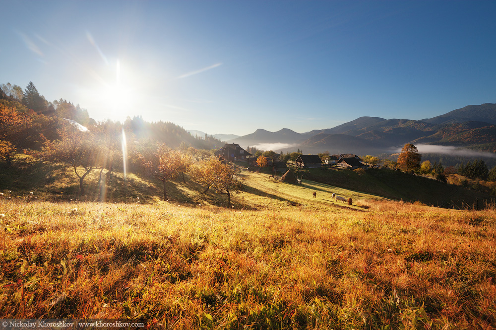 Фотографія Цвет осени / Николай Хорошков / photographers.ua