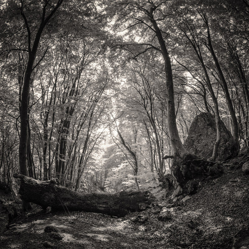 Фотографія Пейзаж / Evgeniy Hrenov / photographers.ua