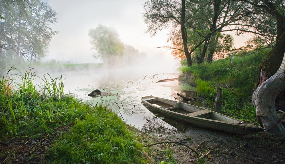 Фотографія туманом окутана пойма реки / ФАБЬЯН / photographers.ua