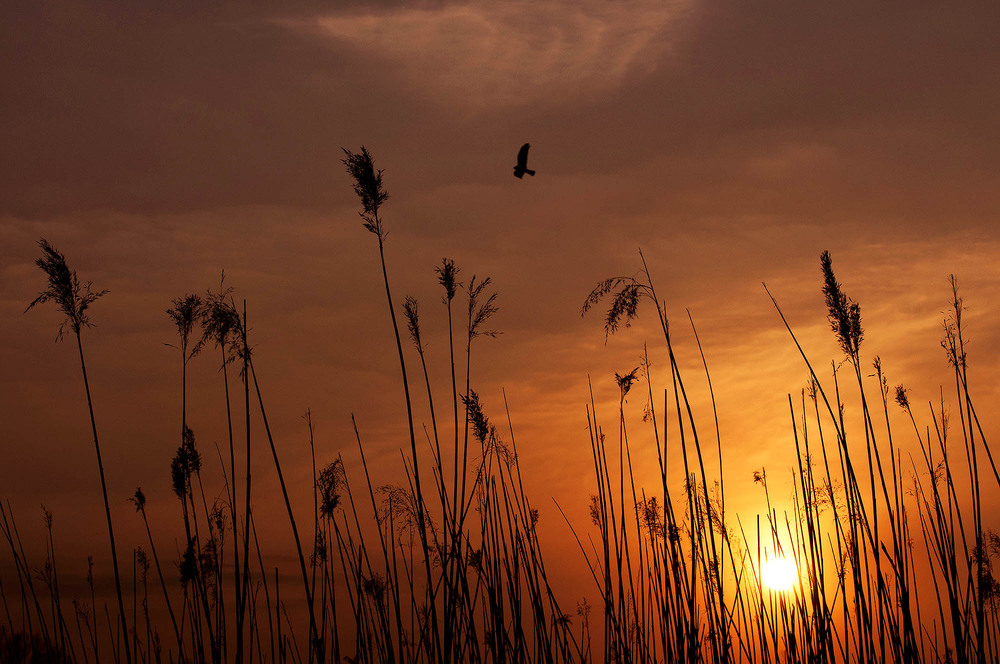 Фотографія Пейзаж / Андрей Касянчук / photographers.ua