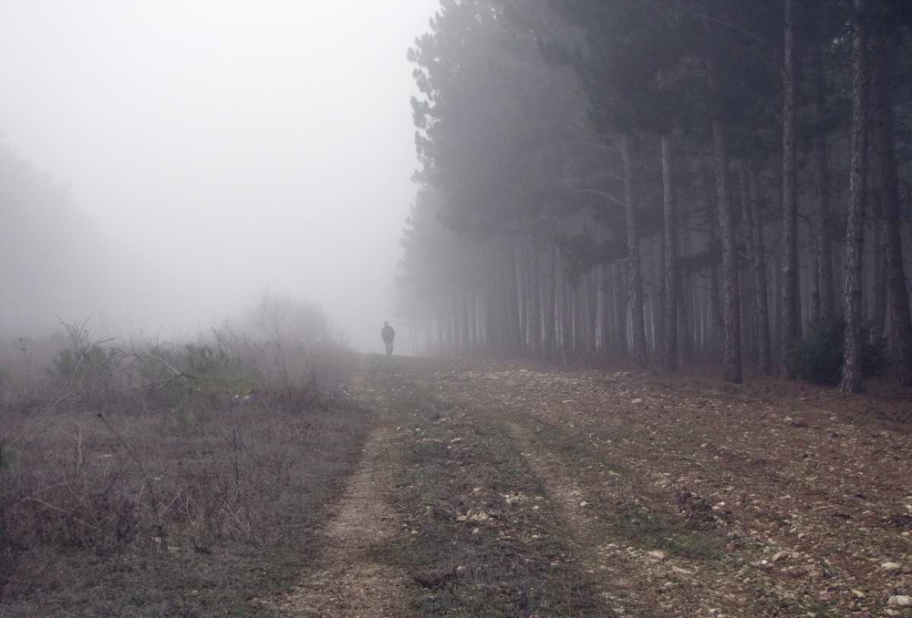 Фотографія Идёт кто-то из тумана... / Sany4 / photographers.ua
