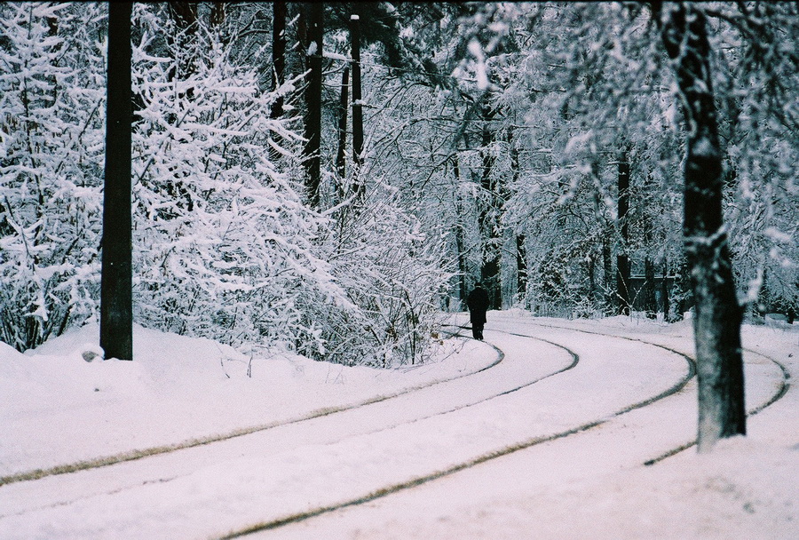 Фотографія Про зиму / Asgreen / photographers.ua