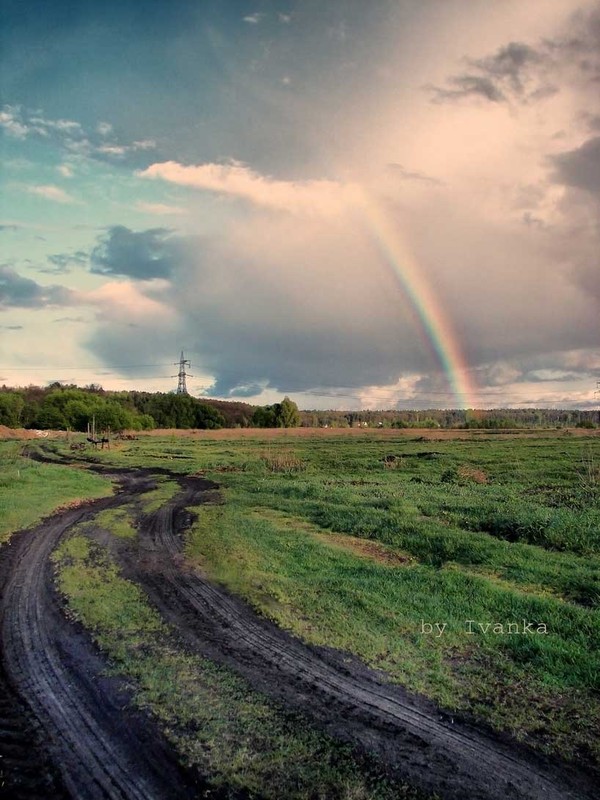 Фотографія Rainbow / Иванка Кострицкая / photographers.ua