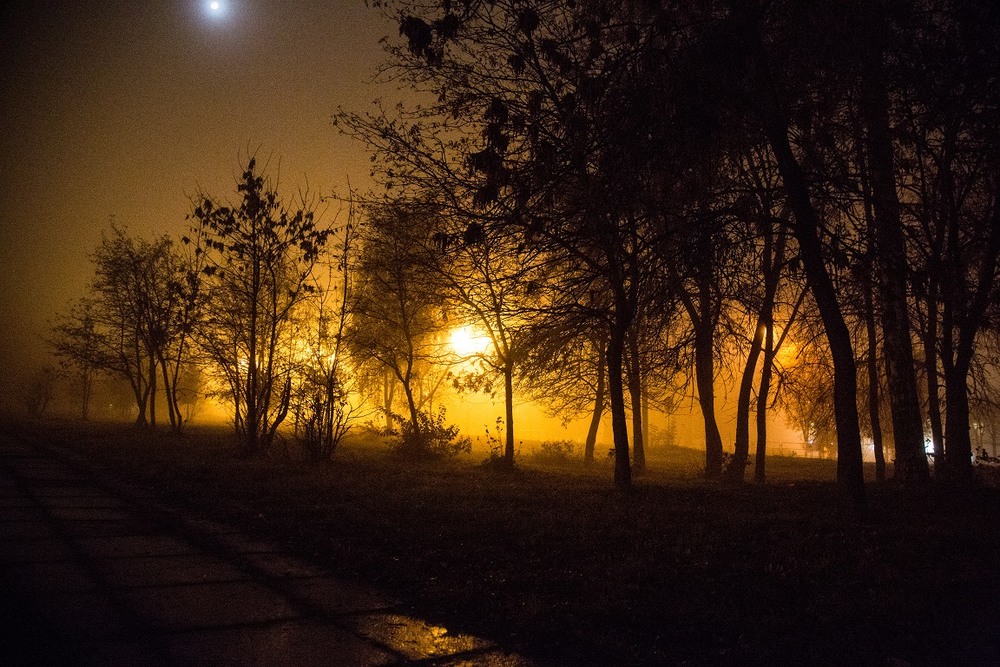 Фотографія нічний туман / дубовец василий иванович / photographers.ua
