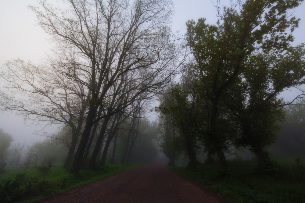 Фотографія Досвітній туман / Віктор Груша / photographers.ua