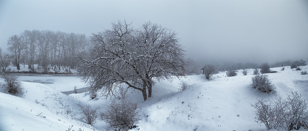 Фотографія Зимові прогулянки / Віктор Груша / photographers.ua