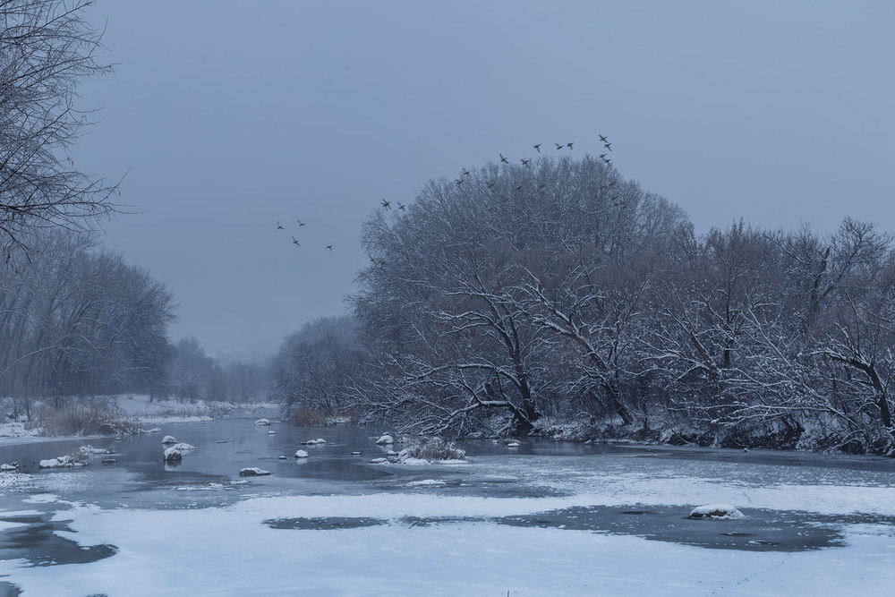 Фотографія Розвіявся туман, полетіли качки / Віктор Груша / photographers.ua