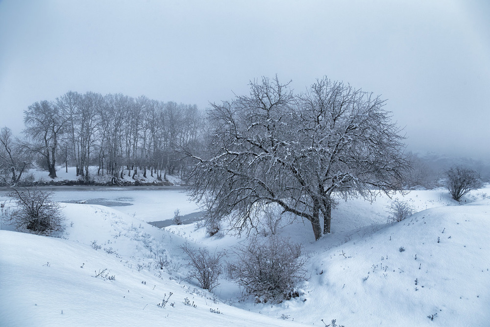 Фотографія Зимове мереживо / Віктор Груша / photographers.ua