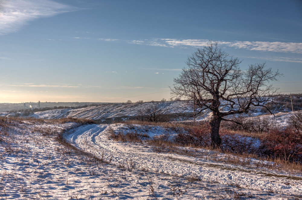 Фотографія Зима в Золотом / San Palych / photographers.ua