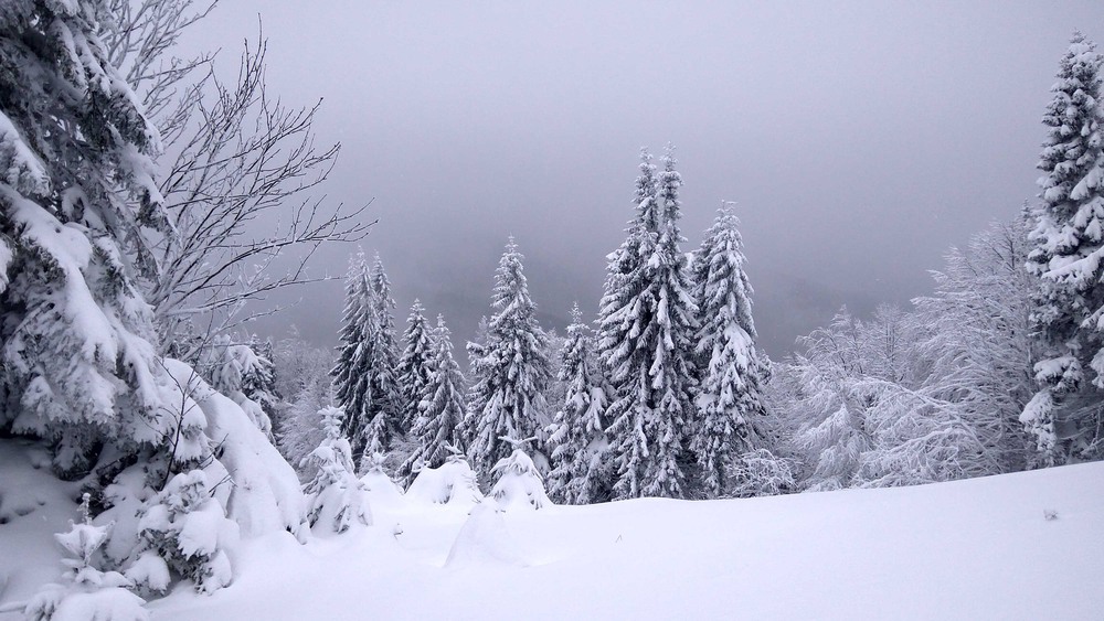 Фотографія Пейзаж / Anry / photographers.ua
