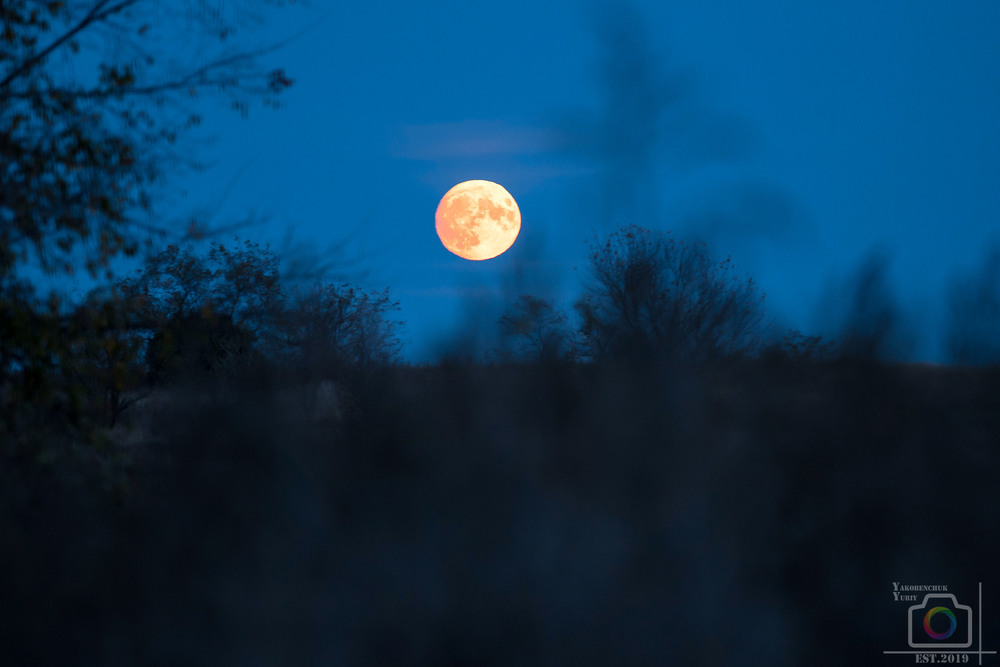 Фотографія moon of the east / Yuriy Yakobenchuk / photographers.ua