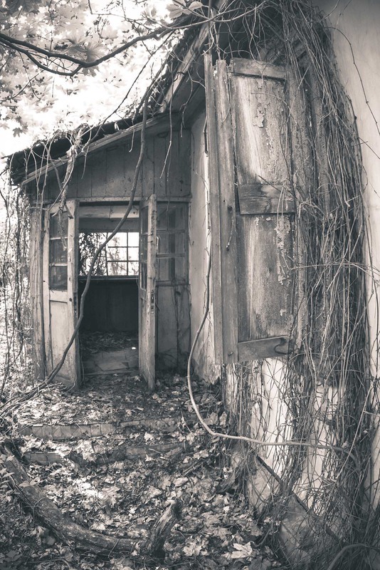 Фотографія Вход в заброшенный дом.г.Чернобыль / Yuriy Yakobenchuk / photographers.ua