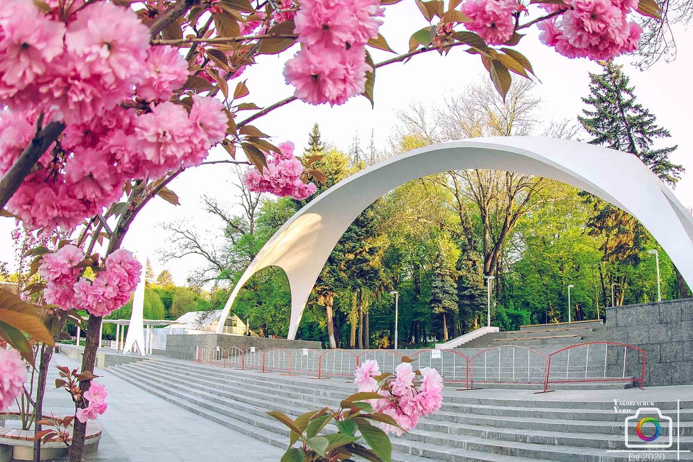 Фотографія Весняна арка у місті Вінниця ) / Yuriy Yakobenchuk / photographers.ua
