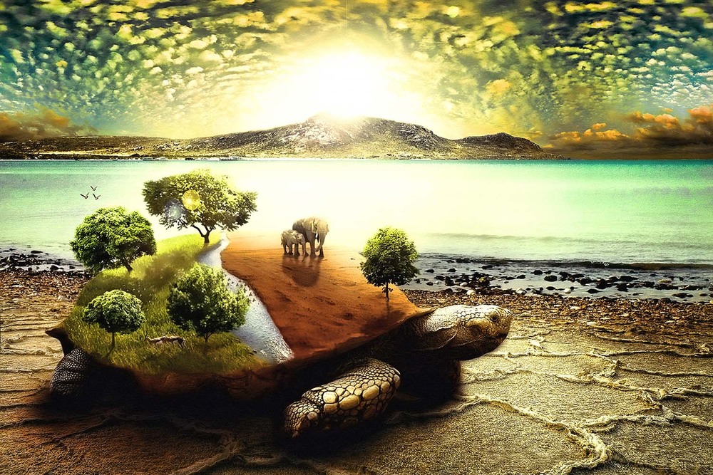 Фотографія TorToise / Константин Шевчук / photographers.ua