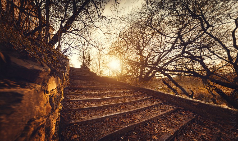Фотографія Пейзаж / Volodya Senkiv / photographers.ua
