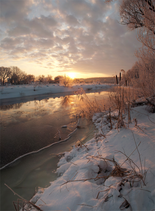 Фотографія Зимовий ранок ) / Огер Олександр / photographers.ua