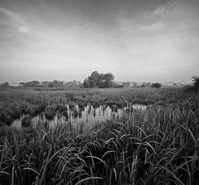 Фотографія Пейзаж / Огер Олександр / photographers.ua