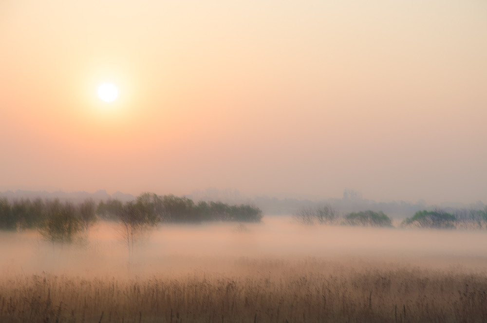 Фотографія про осінній ранок... / Петро Мосур / photographers.ua