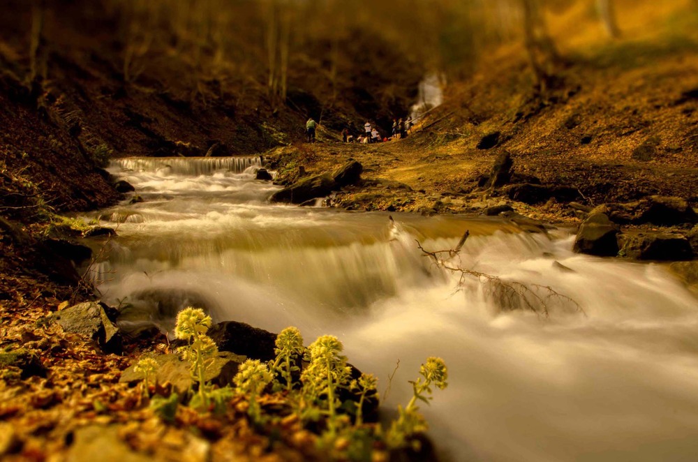 Фотографія тече річка невеличка... / Петро Мосур / photographers.ua