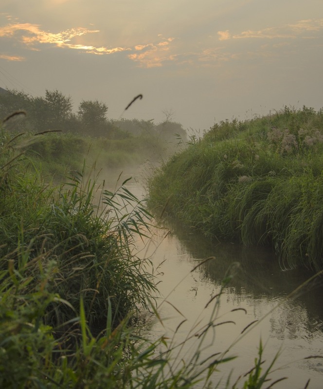 Фотографія тече річка невеличка / Петро Мосур / photographers.ua