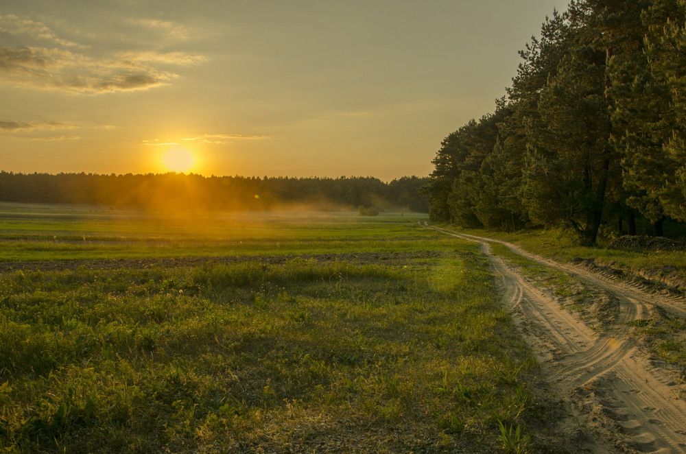 Фотографія курс на захід сонця... / Петро Мосур / photographers.ua