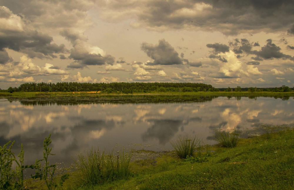 Фотографія *** / Петро Мосур / photographers.ua