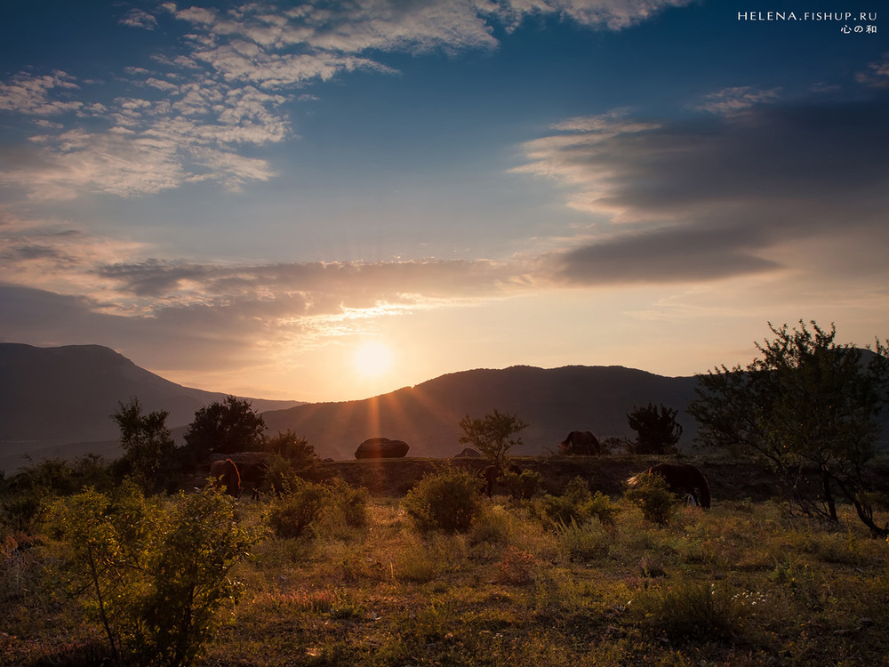Фотографія Вечеря при заході сонця / Хелена Клочко / photographers.ua