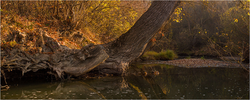 Фотографія *** / Александр / photographers.ua