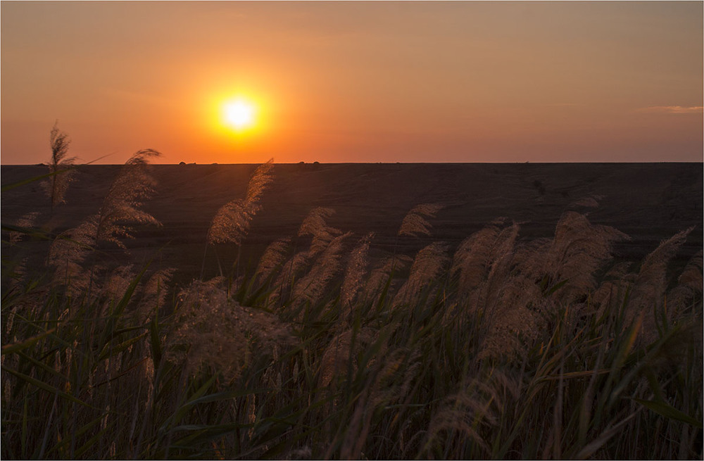 Фотографія На закате жаркого дня / Александр / photographers.ua