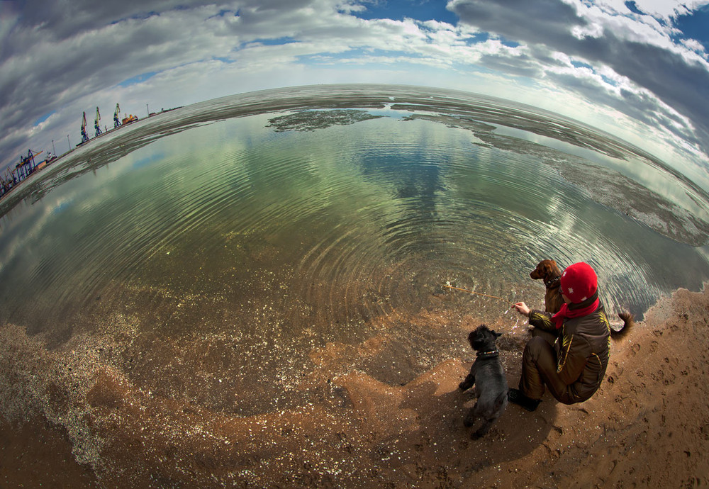 Фотографія Оставляя круги на воде... / Николай Заварика / photographers.ua