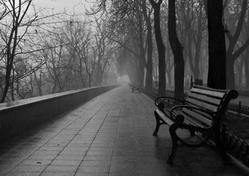 Фотографія Утро, туман, тоска / Александр Крачунов / photographers.ua