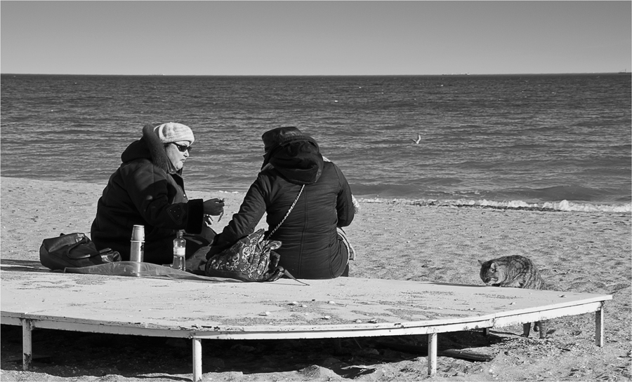 Фотографія Завтрак на песке / Александр Крачунов / photographers.ua