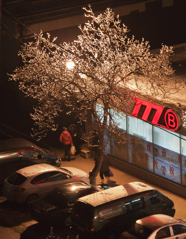 Фотографія Вечер, гололед / Александр Крачунов / photographers.ua
