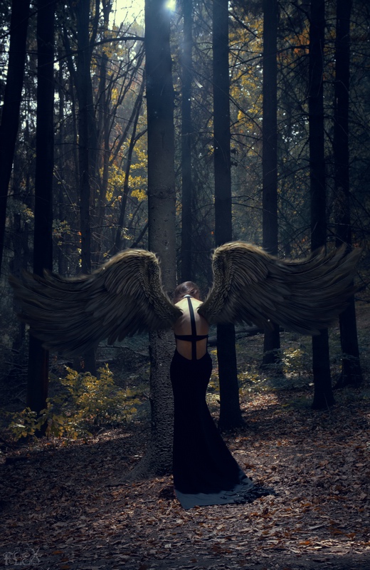 Фотографія Wings Of Sorrow / Stanislav Istratov Flex / photographers.ua