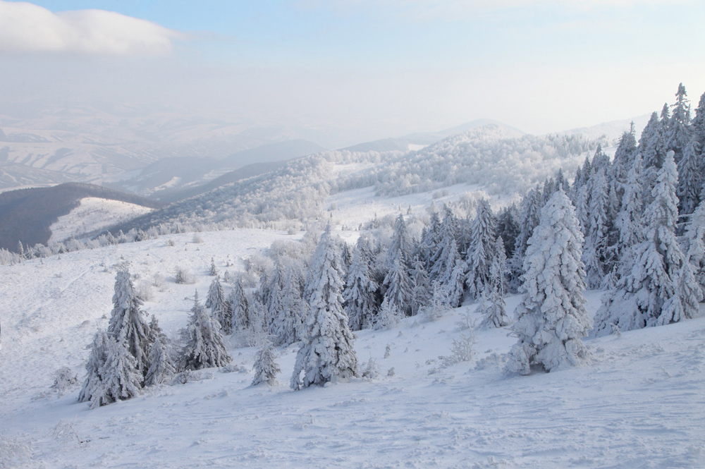 Фотографія Зима-зима / Halyna Tkachuk / photographers.ua