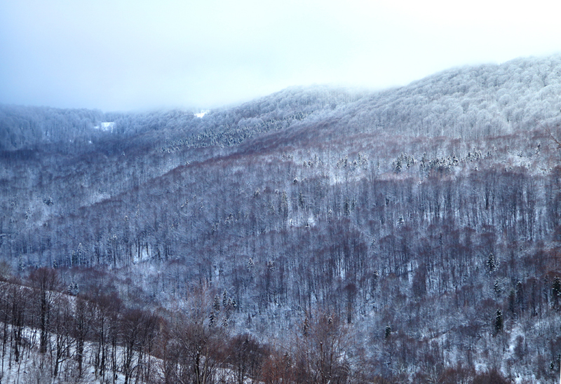 Фотографія Зимові гори.. / Halyna Tkachuk / photographers.ua